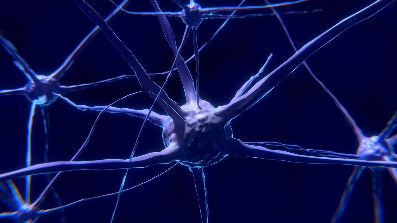 Cognitive Support Cognitive Support